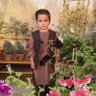 Фото профиля Mohammad Asif Khalil