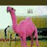 المتفائل ٢٠٣٠ 的头像