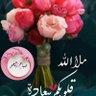 الطائر الاخضر profil fotoğrafı