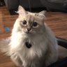 Michael's profile picture