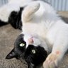 YOZZY_1963 profil fotoğrafı