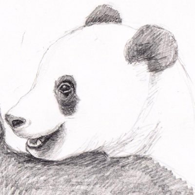 Bonjour Panda's profile picture