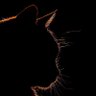 Profilbild von Kaiser Galactic