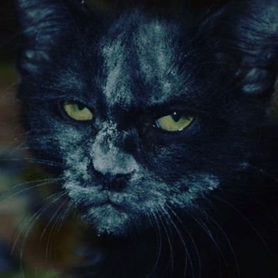 realpadonak's profile picture