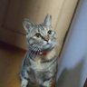 ユン profil fotoğrafı