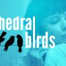 Cathedral Birds profil fotoğrafı