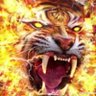 أبــــ عبدالله ــــو's profile picture