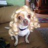 Scribble's profile picture