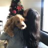 SM profil fotoğrafı