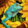 j. norton's profile picture