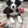Фото профиля Sheila