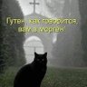 Инесса фон Краус profil fotoğrafı
