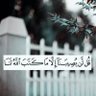 Profilbild von المذحجي..عمرو العائذالله