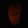 Gag555's profile picture