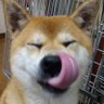 なつき's profile picture