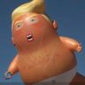 Profilbild von Trumpanzee hater
