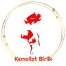Kemalist Birlik 🇹🇷🇹🇷's profile picture