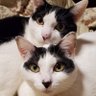 Фото профиля ゆーた