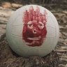 Wilson's profile picture