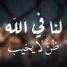 Ahmed Elnaashrty's profile picture