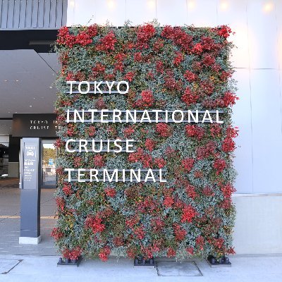 Cruise_Terminal's profile picture