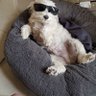LIGHT LOVE's profile picture