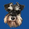 Profilbild von おしぼり