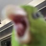 Profilbild von Moofish