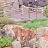 きたすぎと 的头像
