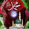 سلوى فهمي 的头像