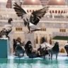 بخيت profil fotoğrafı