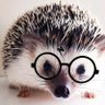 Walter profil fotoğrafı
