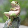Profilbild von pahi 🐸