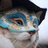 nagi🇯🇵 profil fotoğrafı