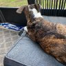 Finzfan72 profil fotoğrafı