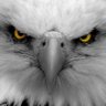Profilbild von Semih 🇹🇷🦅🇹🇷