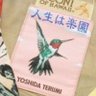 Profilbild von Taka📻@Newzealand🇯🇵🇳🇿