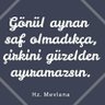 🇹🇷 Mehmet 🇹🇷 profil fotoğrafı
