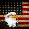 Damon Latigid's profile picture