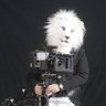 PolarTheLion 的头像