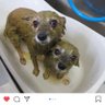 Lioca's profile picture