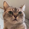 Profilbild von ららのママ