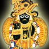 Nikita Chopra's profile picture