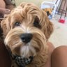 Jody's profile picture