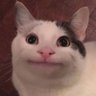 Joshua's profile picture