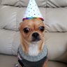 Profilbild von Bella B