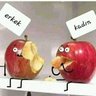 (erdem ) (sadece sanal) bekarım profil fotoğrafı