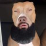 Profilbild von Dawg