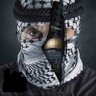 Profilbild von ناصر الحق