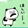 パンダ先生🐼 的头像